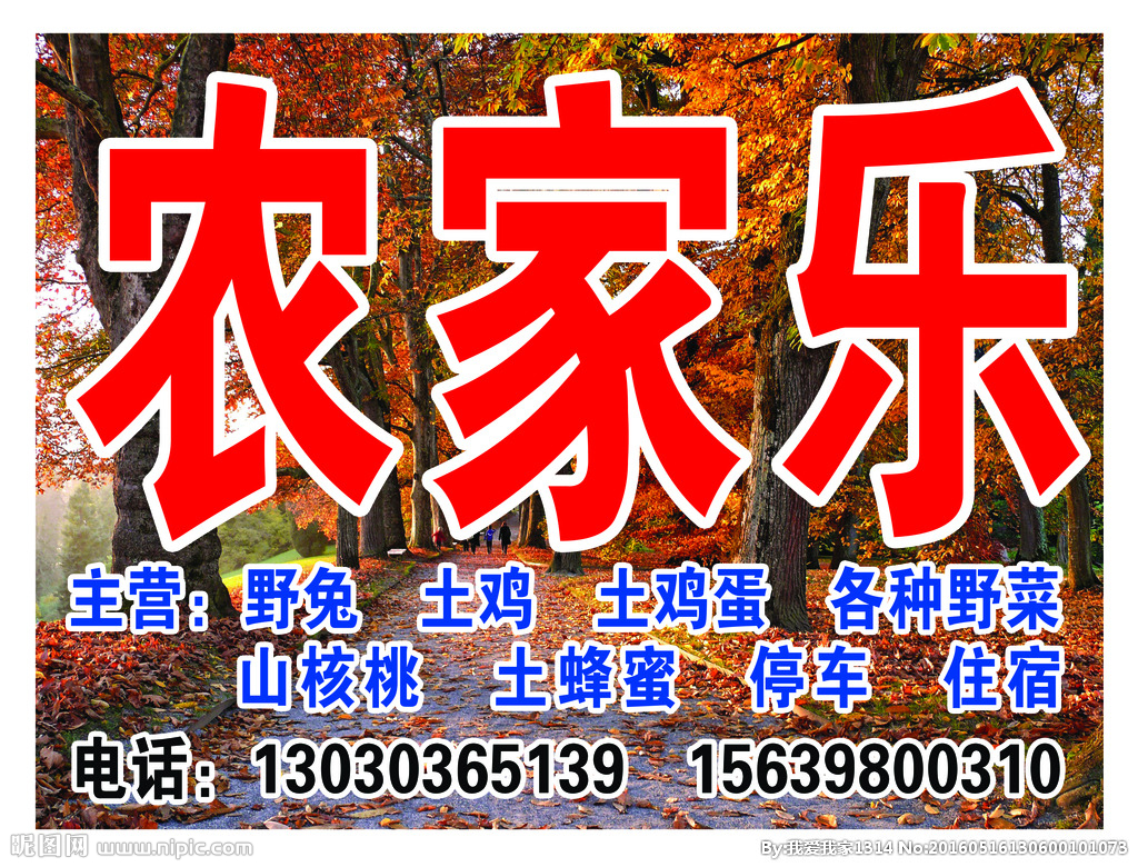 农家乐设计图__广告设计_广告设计_设计图库