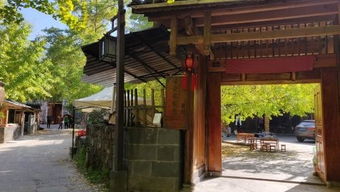 固东镇江东村陈家寨1组8号 –