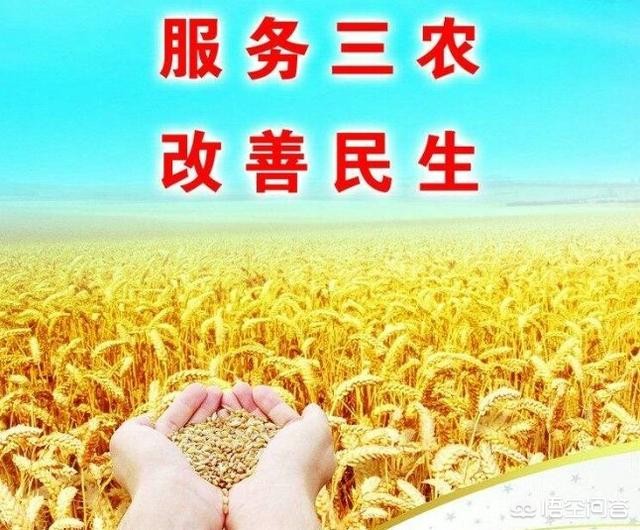 80后90后回农村创业有发展吗?