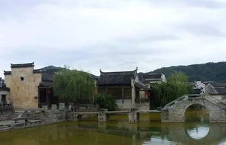 南京59个春游好去处 放风筝 爬山 赏花 骑行,嗨起来