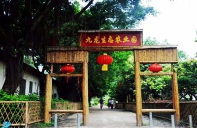深圳周边哪里有农家乐亲子游的地方-九龙山