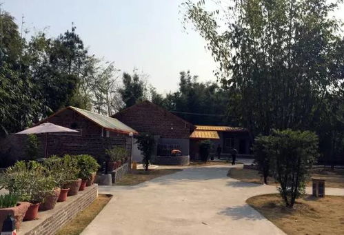 广东这个小镇很美,而你正好有空,一起去走走