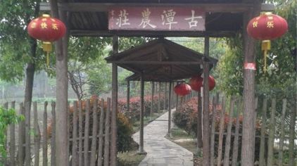 阳山桃园农家乐门票,阳山桃园农家乐门票价格,阳山桃园农家乐门票团购