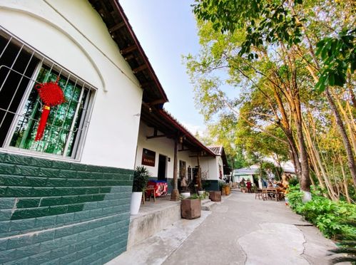 赏花 健身 美食 湿地公园里面竟然隐藏了一个农家乐