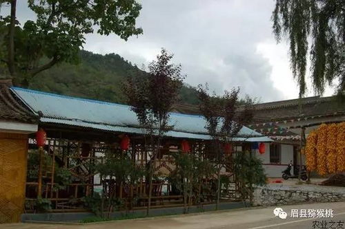 小型农家乐规划设计