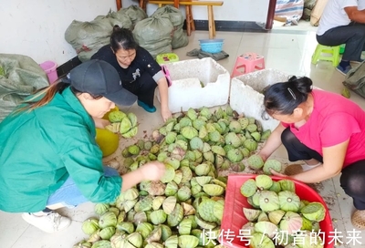 芜湖这个小村的村歌唱上了春晚!