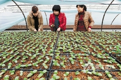 普陀新闻网 - 是综合性、多媒体的普陀第一门户网站