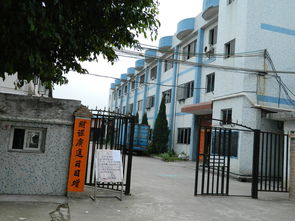 东莞市农村 社区 集体资产管理网 桥头镇石水口村银湖一路11号厂房 宿舍 东莞市桥头皓宇塑胶制品厂