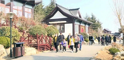 就地出游年味足 商场购物人气旺
