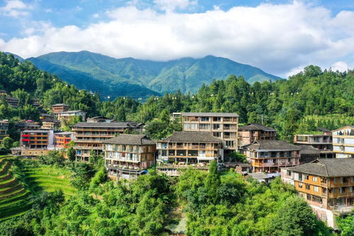 从农家乐到精品民宿 乡村旅游的华丽转身